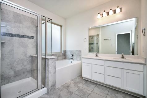 14109 Spring Birch Lane Pearland TX 77584