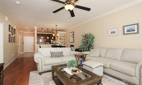2203 Dorrington Street 208 Houston TX 77030