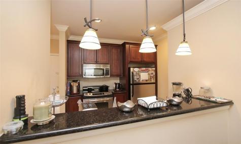 2203 Dorrington Street 208 Houston TX 77030