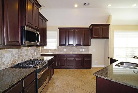 24610 Wild Oak Lake Drive Katy TX 77494