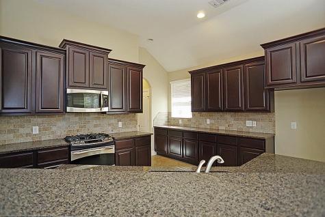 24610 Wild Oak Lake Drive Katy TX 77494