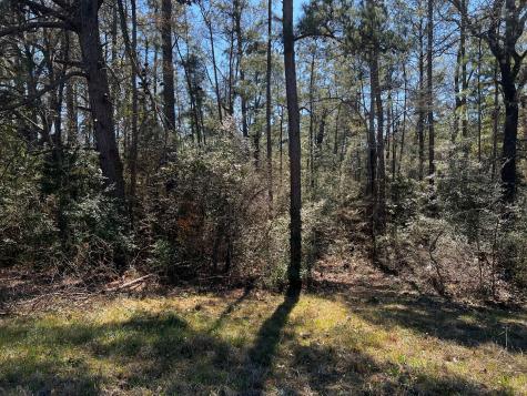 2404 Tx-75 Road Huntsville TX 77320