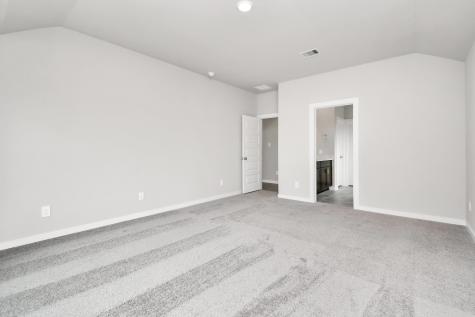 10806 Bodie Hills Drive Rosharon TX 77583