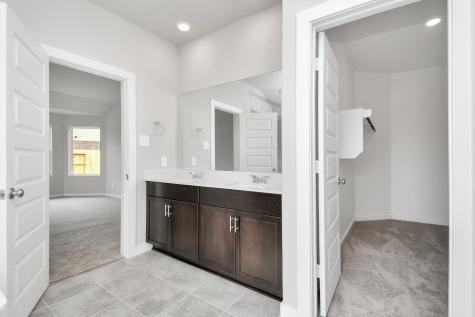 10806 Bodie Hills Drive Rosharon TX 77583