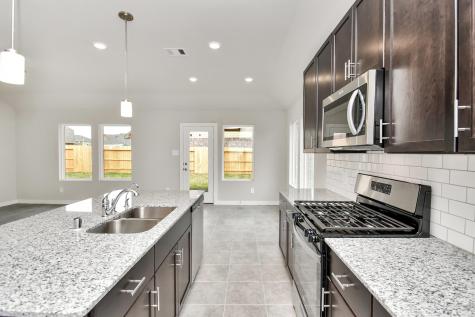 10806 Bodie Hills Drive Rosharon TX 77583