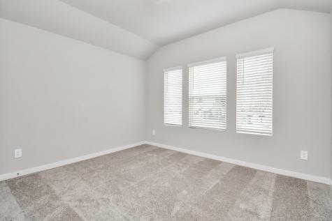 10806 Bodie Hills Drive Rosharon TX 77583