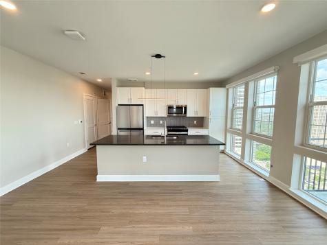 716 Waugh Drive B6 328 Houston TX 77019