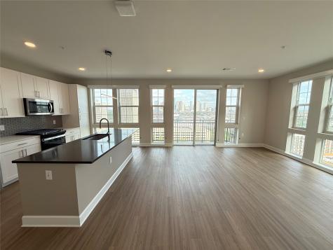 716 Waugh Drive B6 328 Houston TX 77019