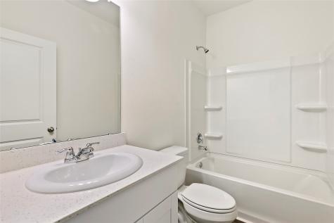 1021 Lacebark Pine Lane Brookshire TX 77423