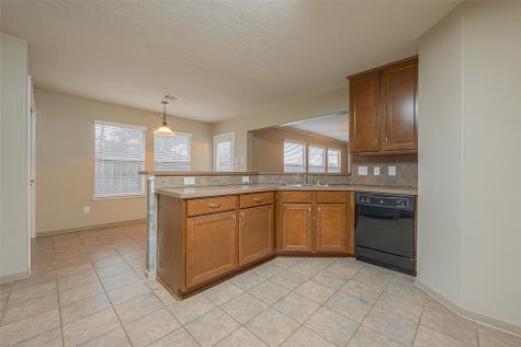 22003 Bridgestone Way Court Spring TX 77388