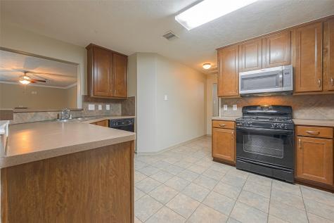 22003 Bridgestone Way Court Spring TX 77388