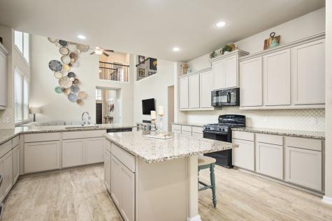 249 N Bearkat Court Montgomery TX 77316