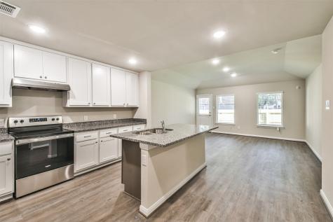 103 W White Willow Circle Spring TX 77381