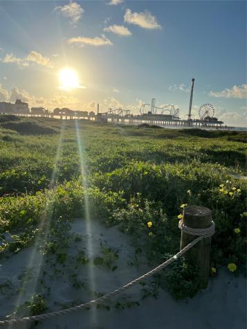 2627 Avenue K 1 Galveston TX 77550