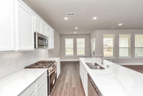1233 Scarlet Creek Drive Rosharon TX 77583