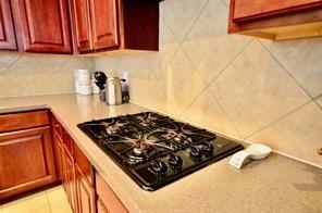 17715 Emerald Garden Lane Houston TX 77084