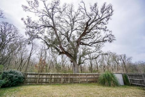 3211 London Lane Missouri City TX 77459