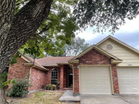 15915 Blue Mesa Ridge Drive Friendswood TX 77546
