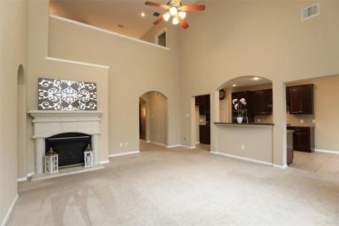 3622 Castle Falls Drive Manvel TX 77578