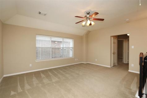 3622 Castle Falls Drive Manvel TX 77578