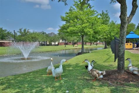 3622 Castle Falls Drive Manvel TX 77578