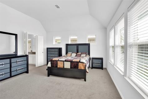 1613 Palo Duro Canyon Drive League City TX 77573
