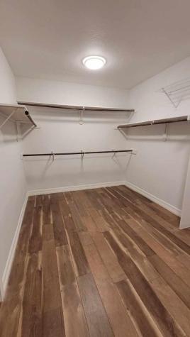 2111 Paintbrush Avenue League City TX 77573