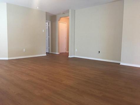 3407 Huisache Court Pearland TX 77581