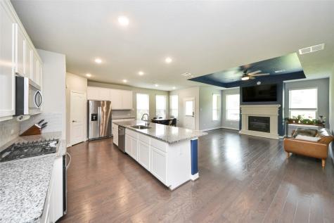 120 Chestnut Run Court Conroe TX 77384