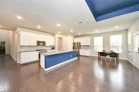 120 Chestnut Run Court Conroe TX 77384