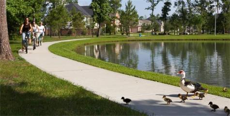 12726 Lady Jane Court Houston TX 77044
