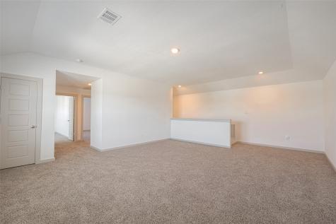 1118 Curly Angora Court Rosharon TX 77583