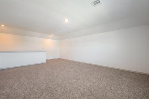 1118 Curly Angora Court Rosharon TX 77583