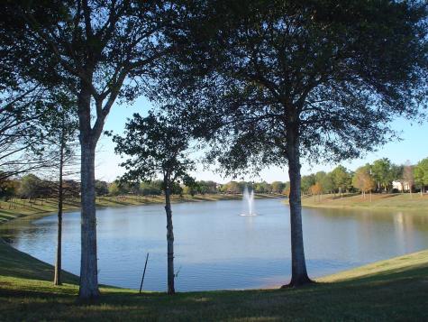 11909 Fountain Brook Drive Pearland TX 77584