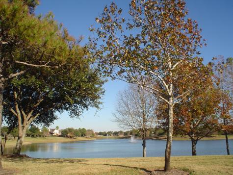 11909 Fountain Brook Drive Pearland TX 77584