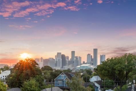 3802 Lovejoy Street Houston TX 77003