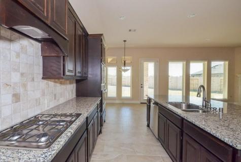 4810 Desert Ivy Court Sugar Land TX 77479