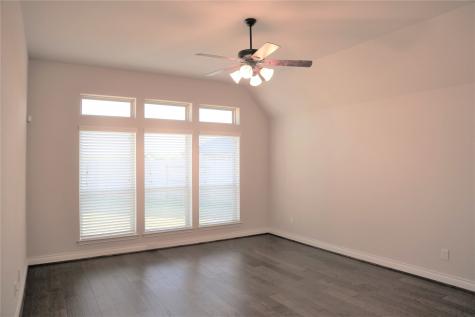4810 Desert Ivy Court Sugar Land TX 77479