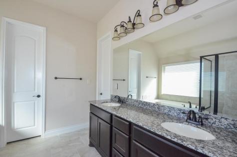 4810 Desert Ivy Court Sugar Land TX 77479