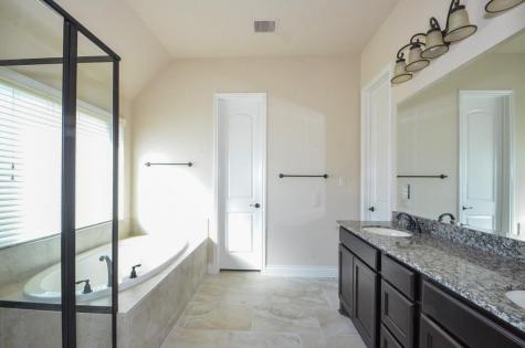 4810 Desert Ivy Court Sugar Land TX 77479