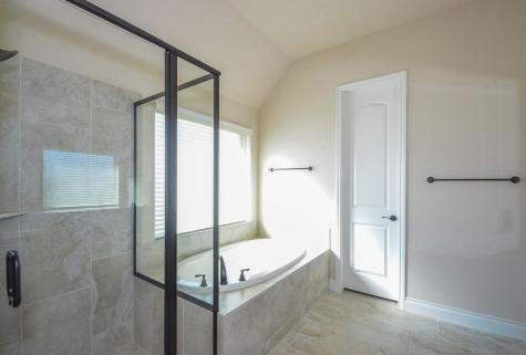 4810 Desert Ivy Court Sugar Land TX 77479