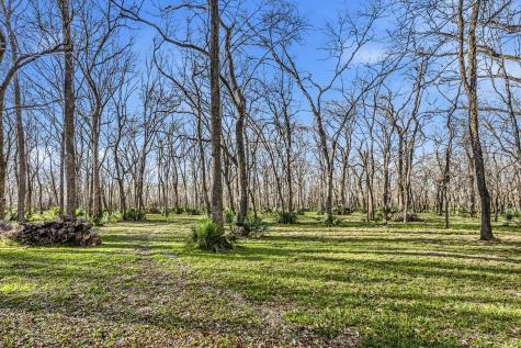 116 Natures Way Road Huntsville TX 77340