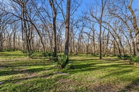 116 Natures Way Road Huntsville TX 77340