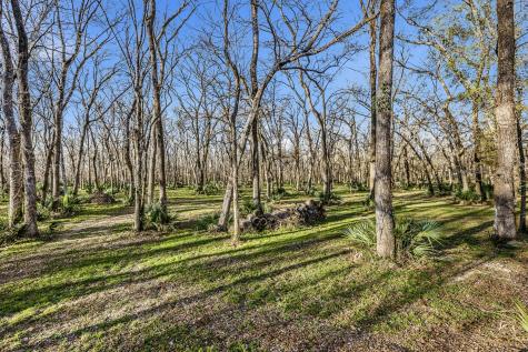116 Natures Way Road Huntsville TX 77340