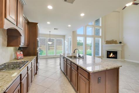 27906 Colonial Point Drive Katy TX 77494