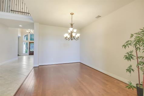 27906 Colonial Point Drive Katy TX 77494