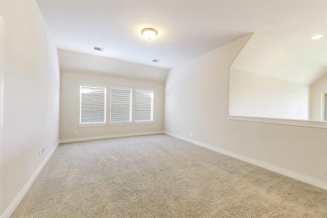 27906 Colonial Point Drive Katy TX 77494