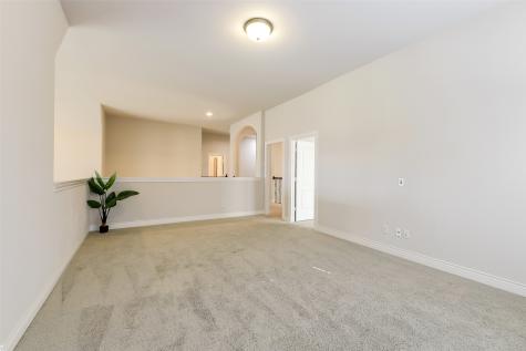 27906 Colonial Point Drive Katy TX 77494