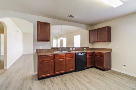 5403 Rio San Juan Street Rosharon TX 77583