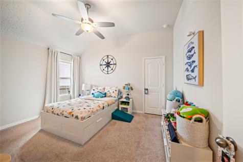 531 Carina Gaze Drive Willis TX 77318